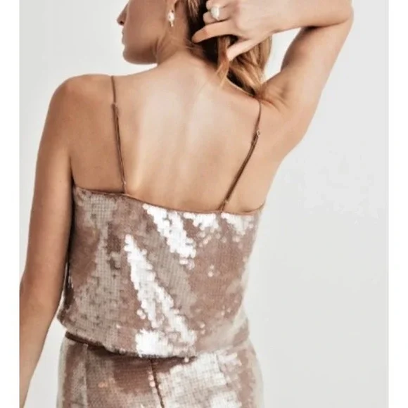 Madewell Women's Small Cami Beige Tank Top Sequined Fallen Timber Lined Sparkle‎ - Picture 3 of 16